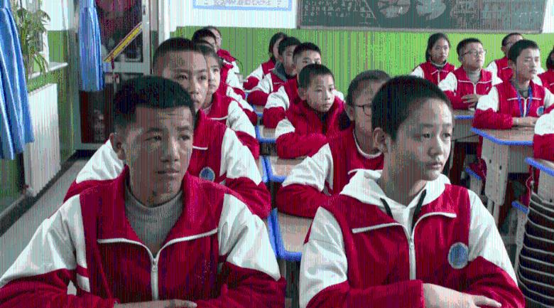 阿维塔11荣膺“五星健康车”认证 4项测试全五星最高评价